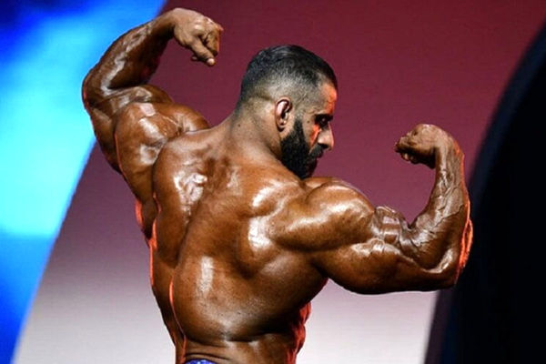 امضای هادی چوپان را ببینید 