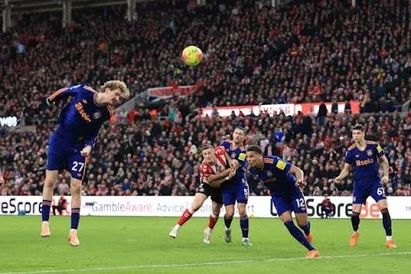 ببینید/ یک گل به خودی زیبا و کم نظیر!